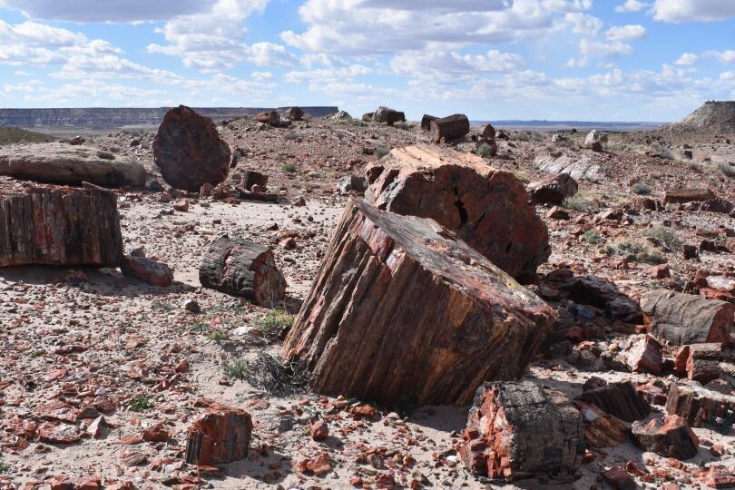 the petrified forest national park naturaleza paisaje