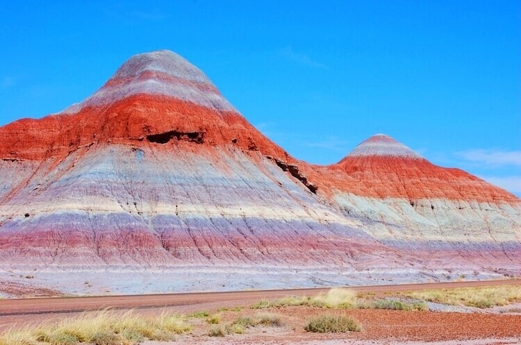 the petrified forest national park naturaleza paisaje 4