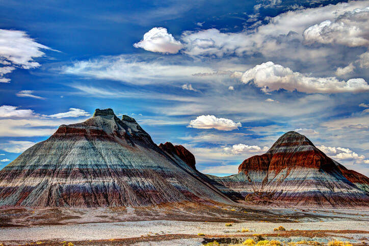 the petrified forest national park naturaleza paisaje 6