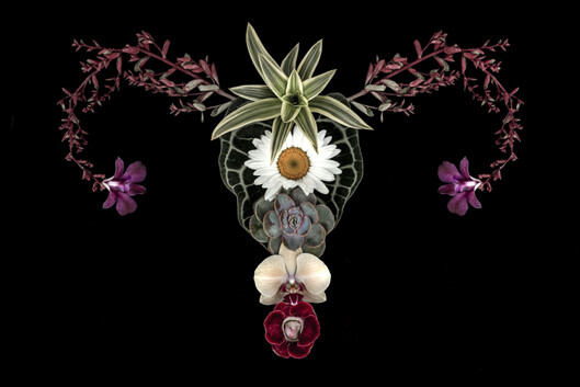 utero catharina suleiman flor.jpg10