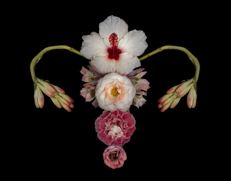 utero catharina suleiman flor.jpg12