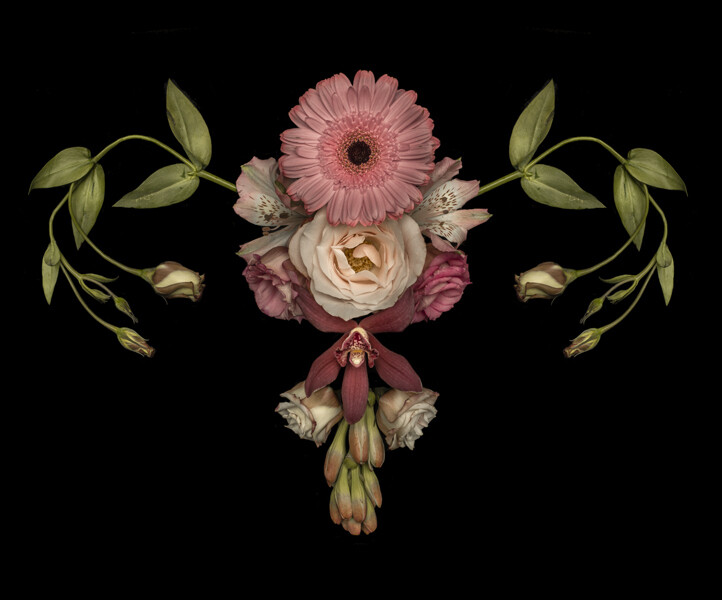utero catharina suleiman flor.jpg16