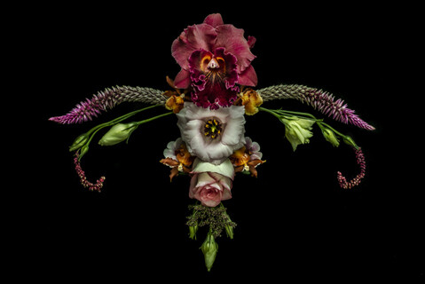 utero catharina suleiman flor.jpg2