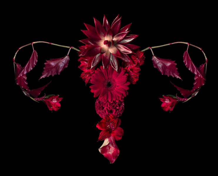 utero catharina suleiman flor.jpg20