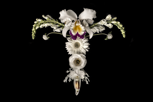 utero catharina suleiman flor.jpg4