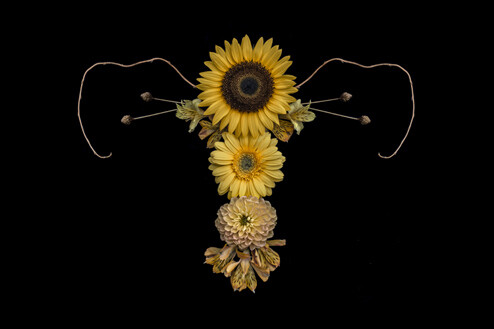 utero catharina suleiman flor.jpg5