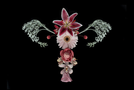 utero catharina suleiman flor.jpg6
