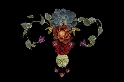 utero catharina suleiman flor.jpg7