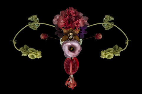 utero catharina suleiman flor.jpg8