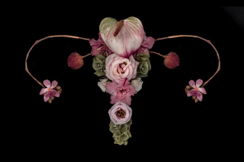 utero catharina suleiman flor.jpg9
