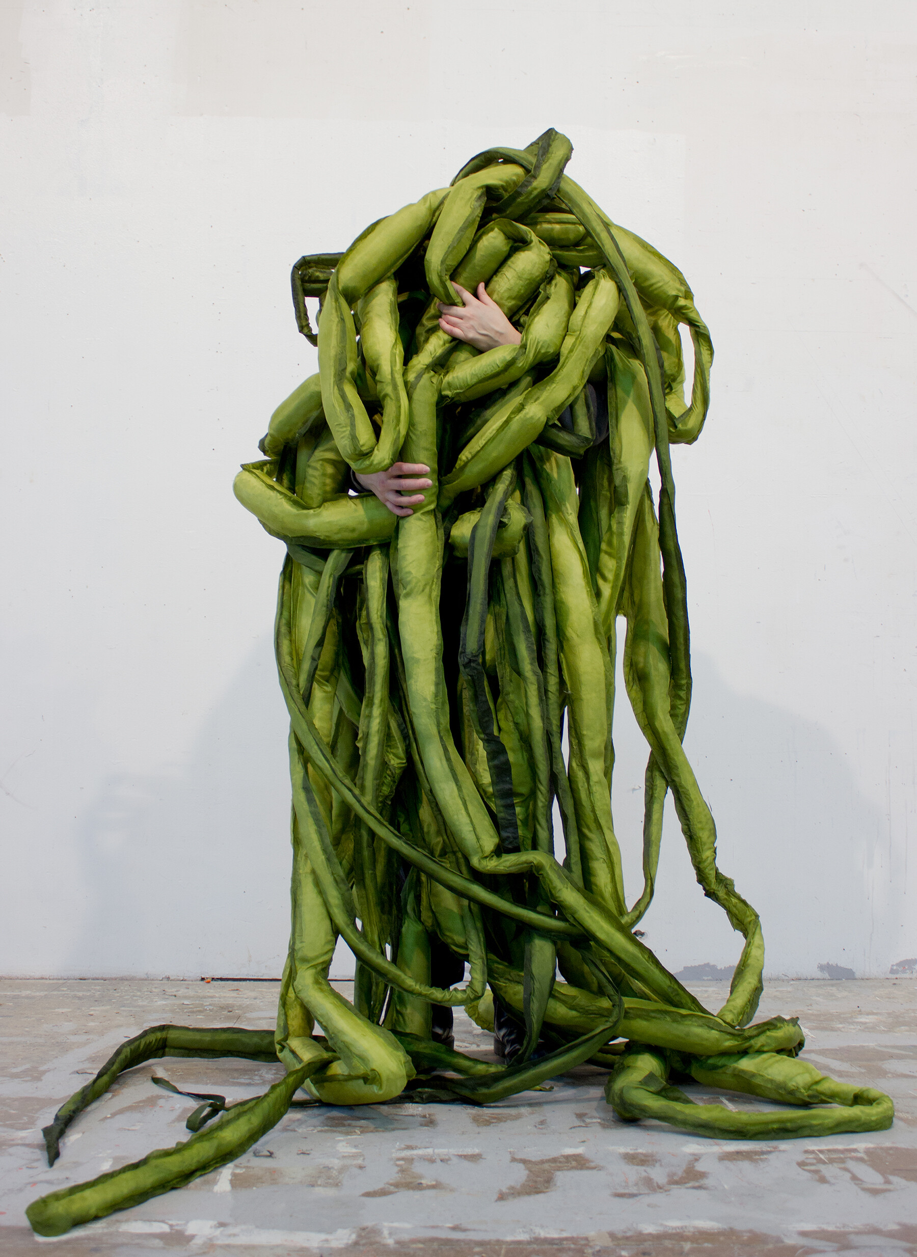 01 la casa encendida un encuentro vegetal a great seaweed day gut weed ulva intestinalis ingela ihrman 2019 jpg