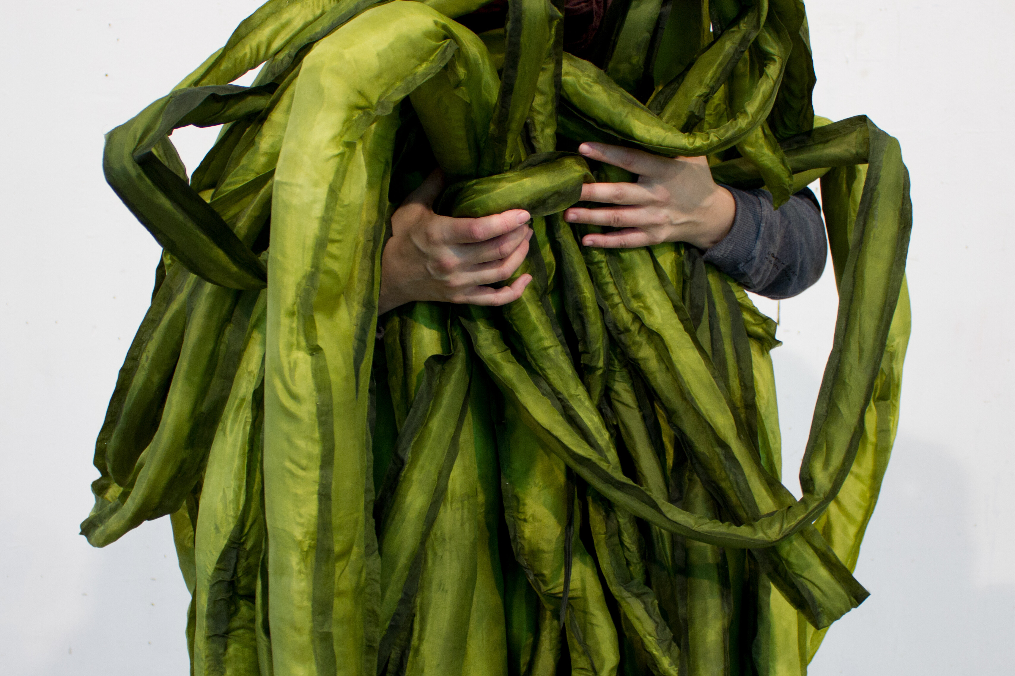 02 la casa encendida un encuentro vegetal detalle de a great seaweed day gut weed ulva intestinalis