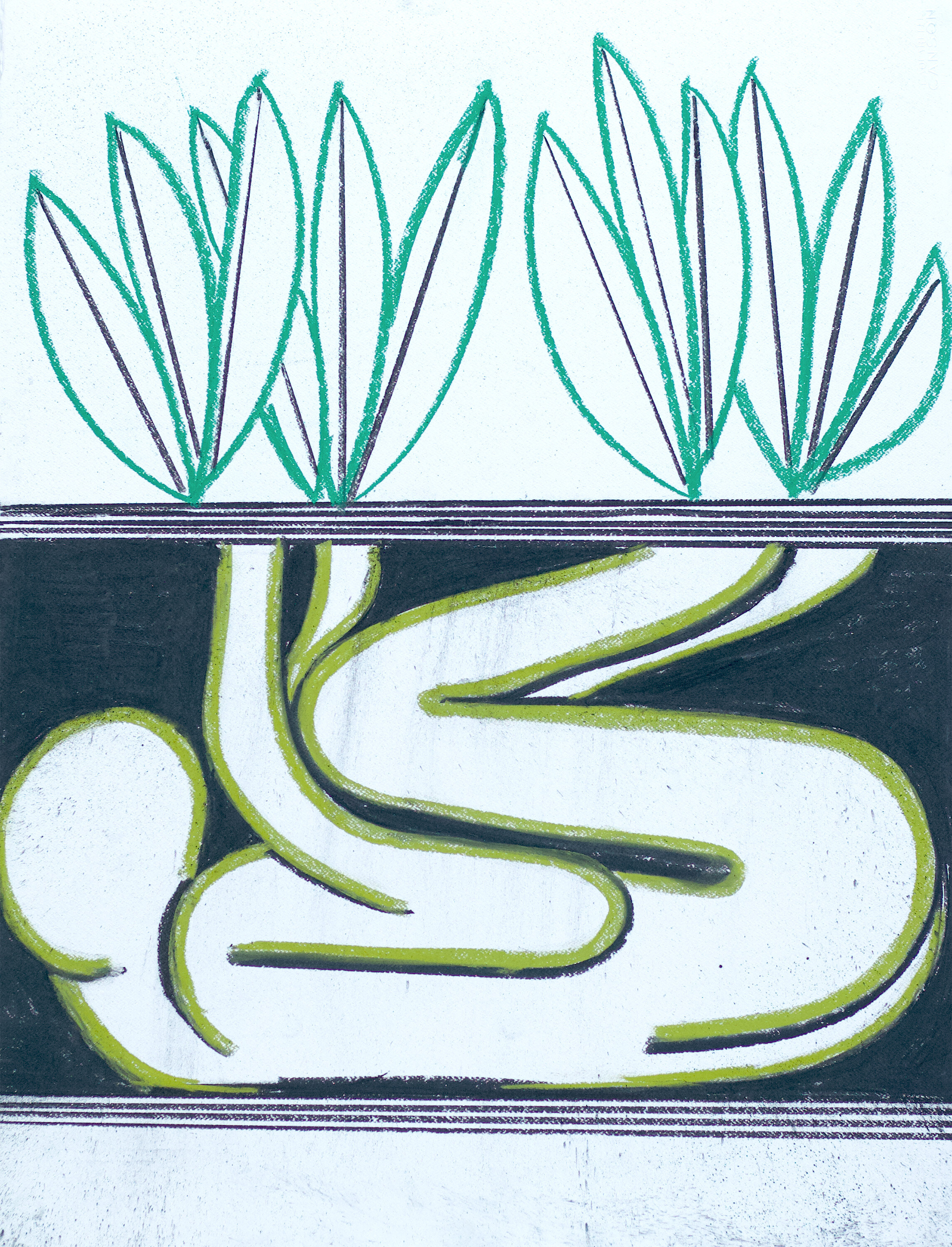 08 eduardo navarro photosynthetics 2021 photography by sofia jallinsky