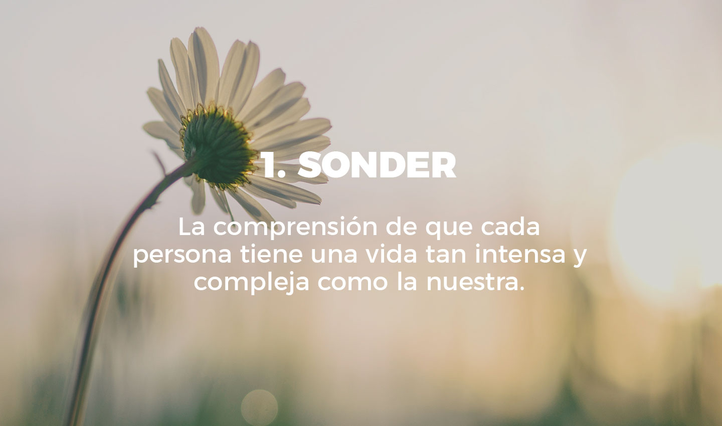 1 sonder cultura inquieta