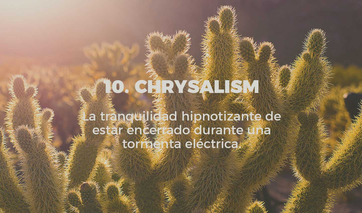 10 chrysalism cultura inquieta