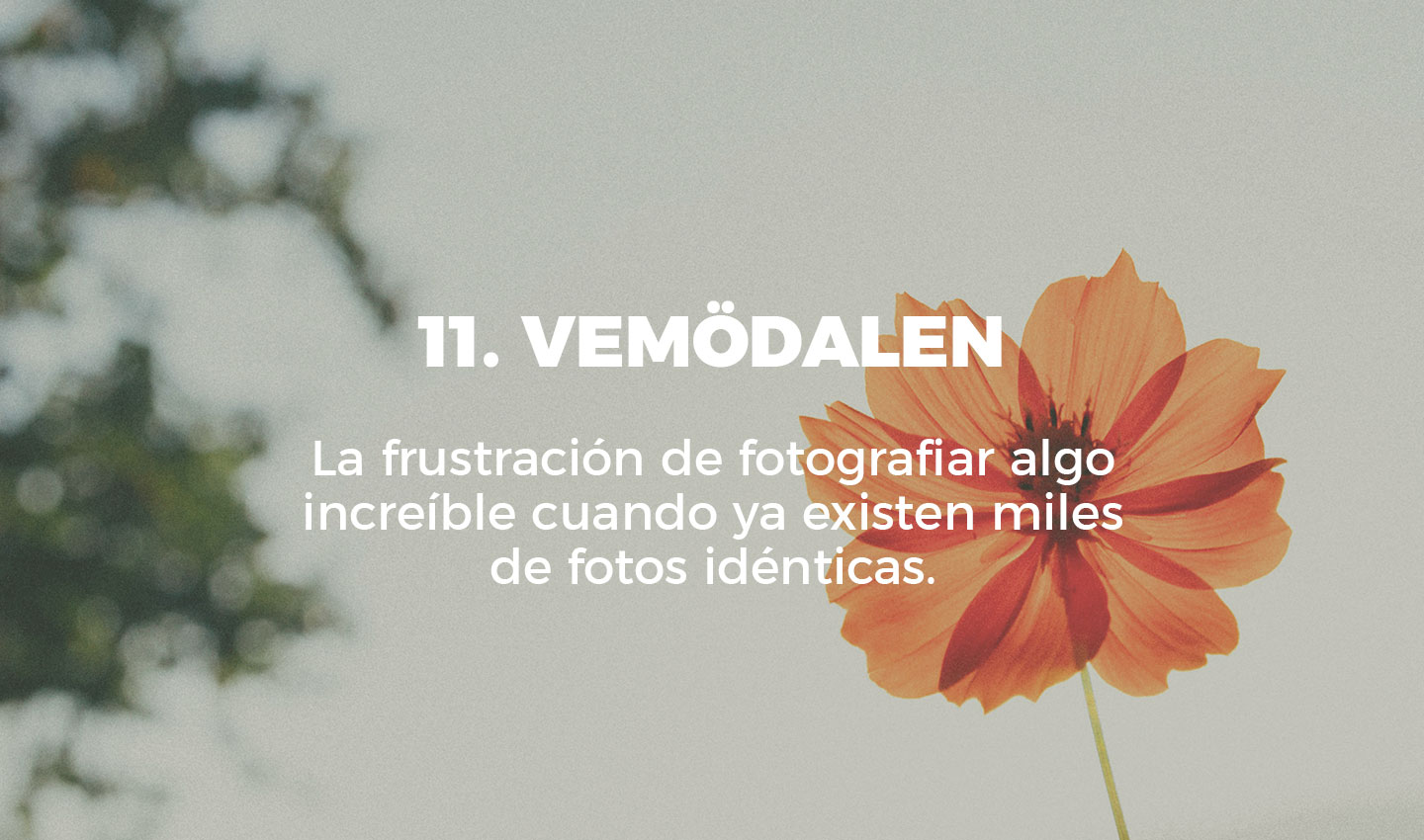 11 vemodalen cultura inquieta