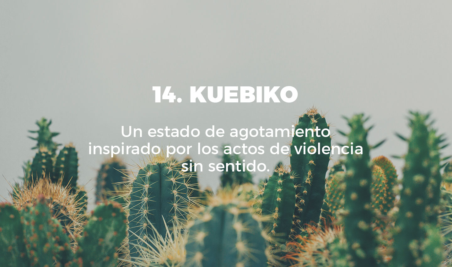 14 kuebiko cultura inquieta