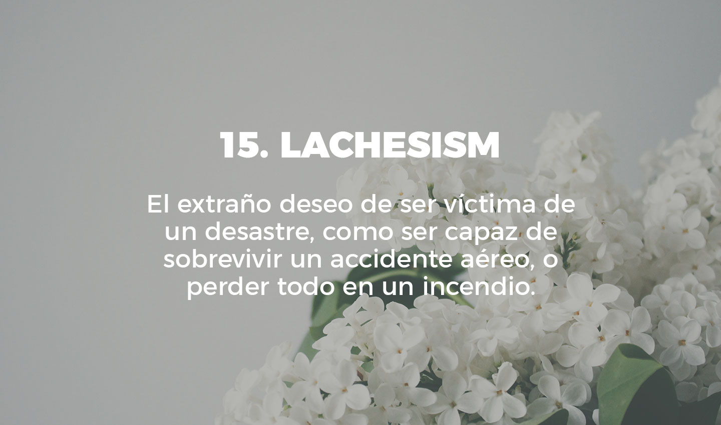 15 lachesism cultura inquieta