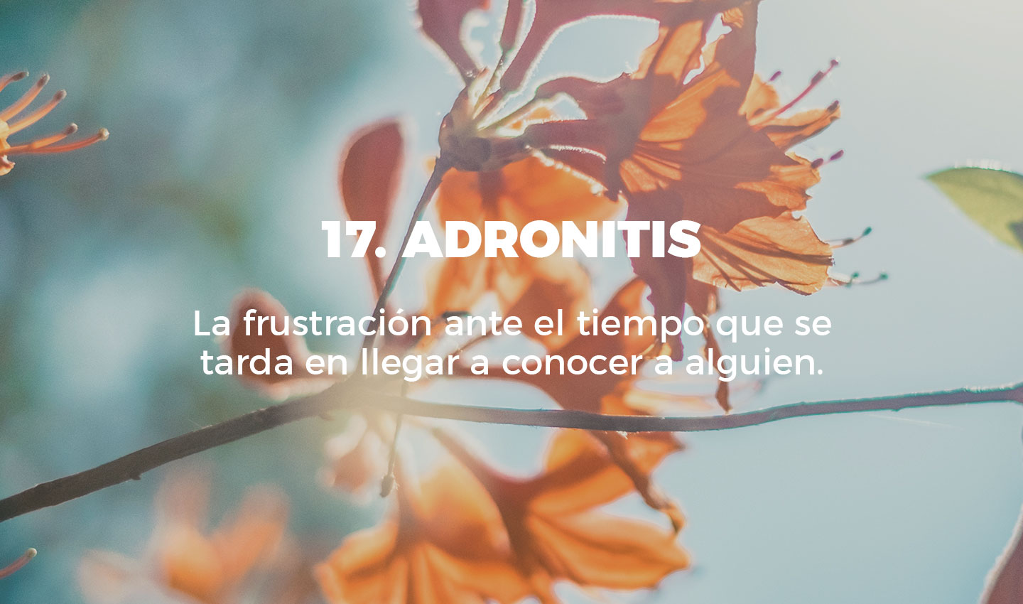 17 adronitis cultura inquieta