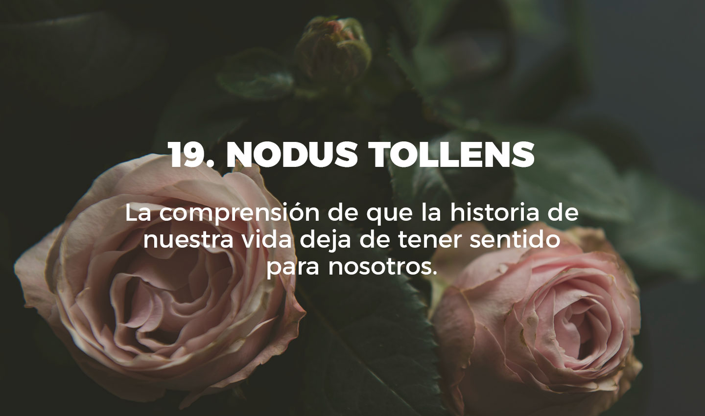 19 nodus tollens cultura inquieta