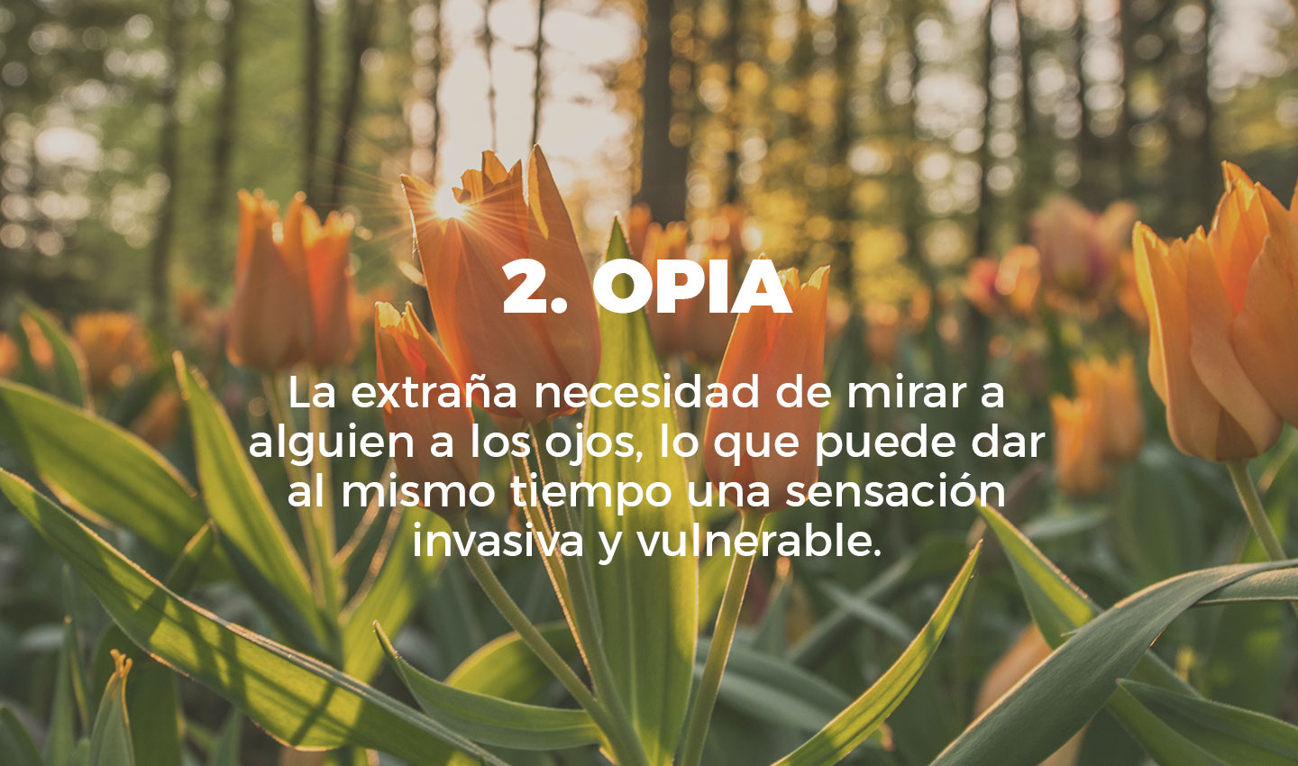 2 opia cultura inquieta