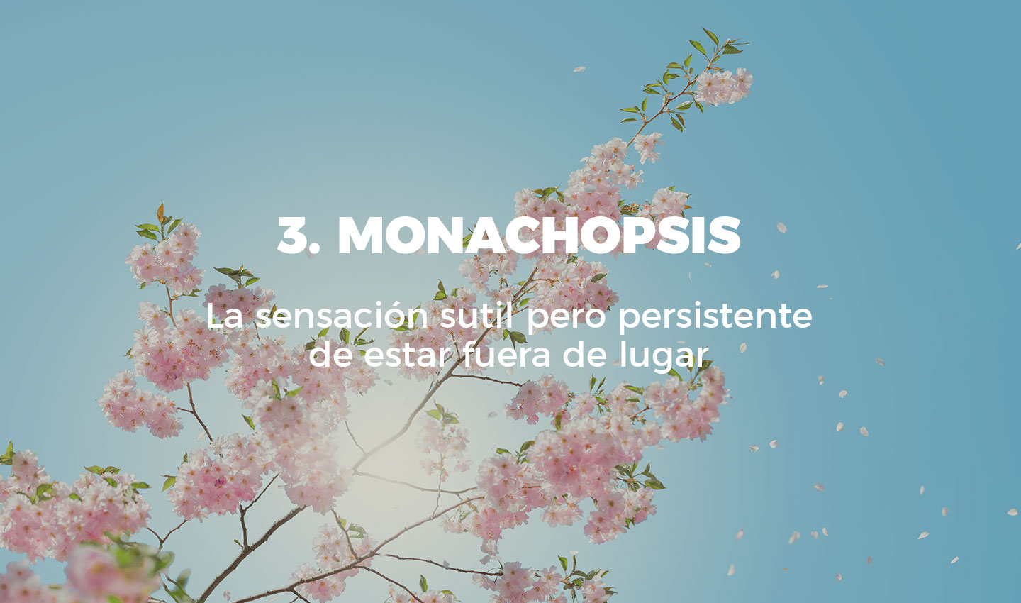 3 monachopsis cultura inquieta 1