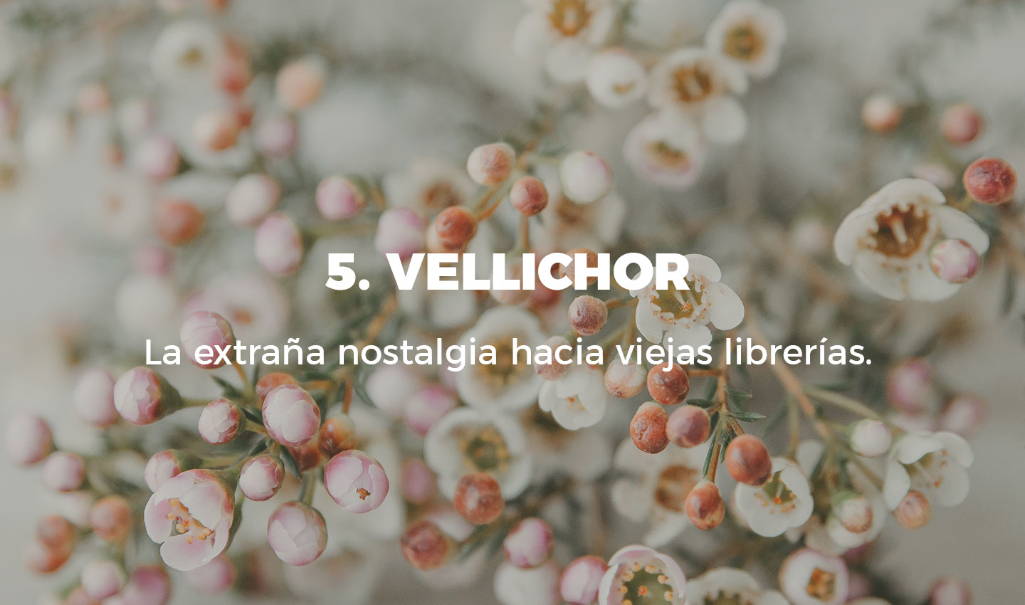 5 vellichor cultura inquieta