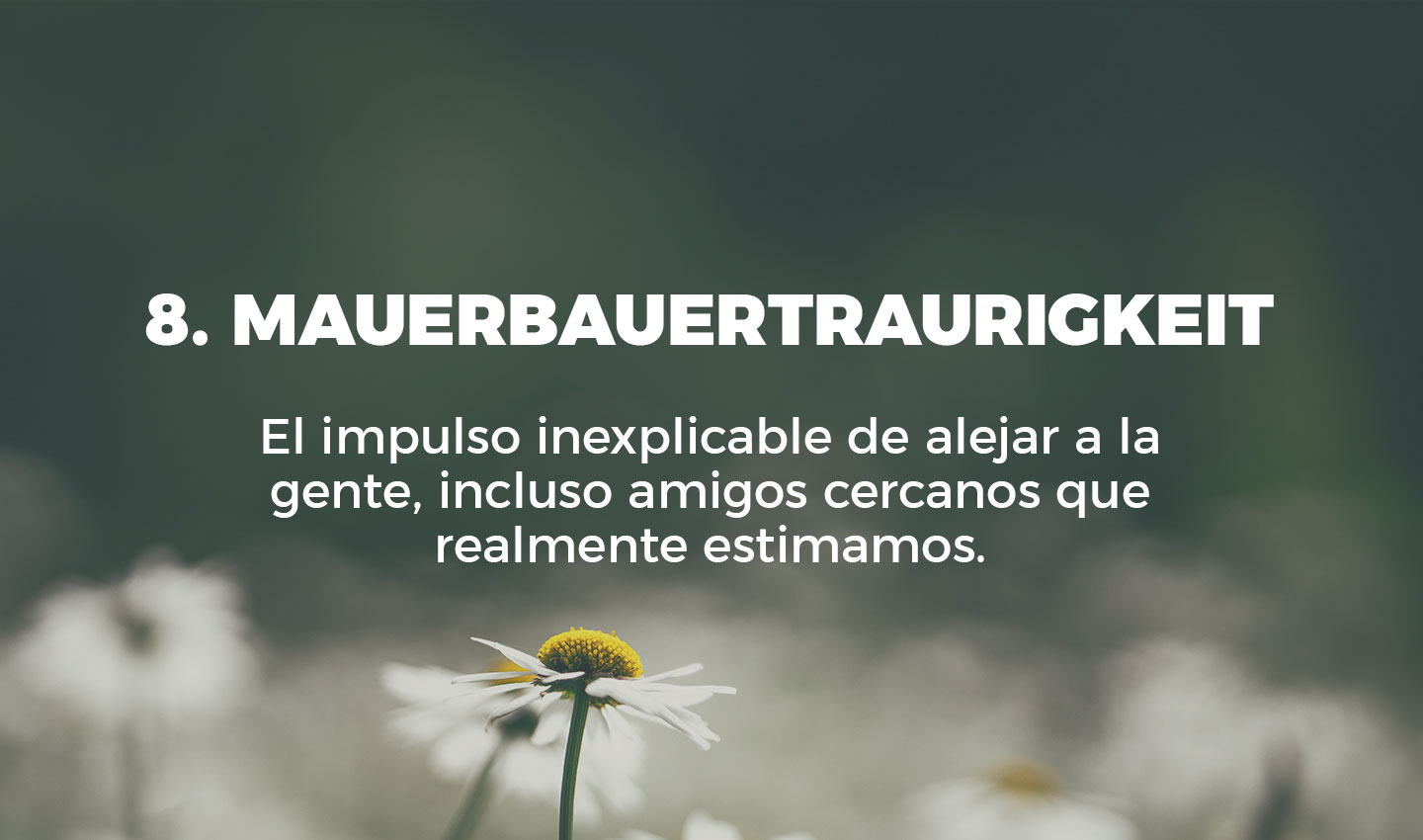 8 mauerbauertraurigkeit cultura inquieta
