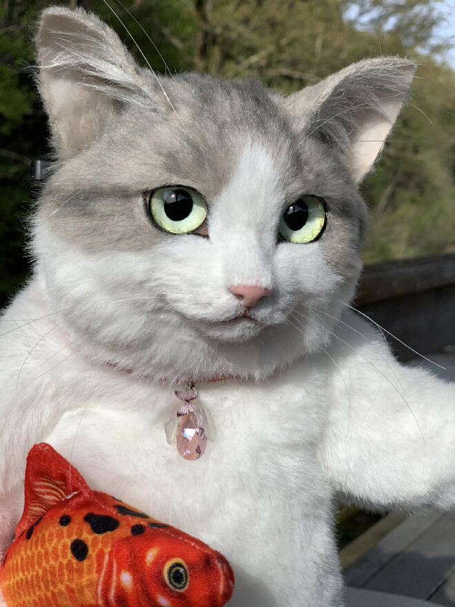 mochila gato hiperrealista japon2