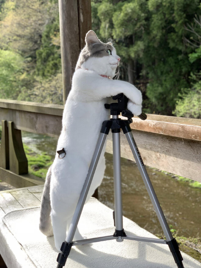 mochila gato hiperrealista japon5