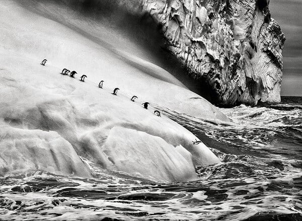 Fotografía de Sebastião Salgado