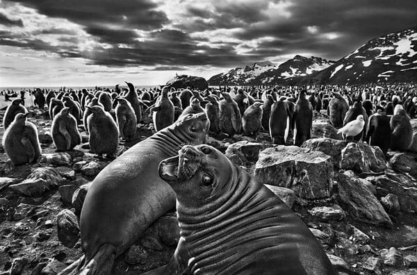Fotografía de Sebastião Salgado