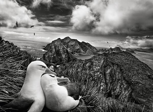 Fotografía de Sebastião Salgado