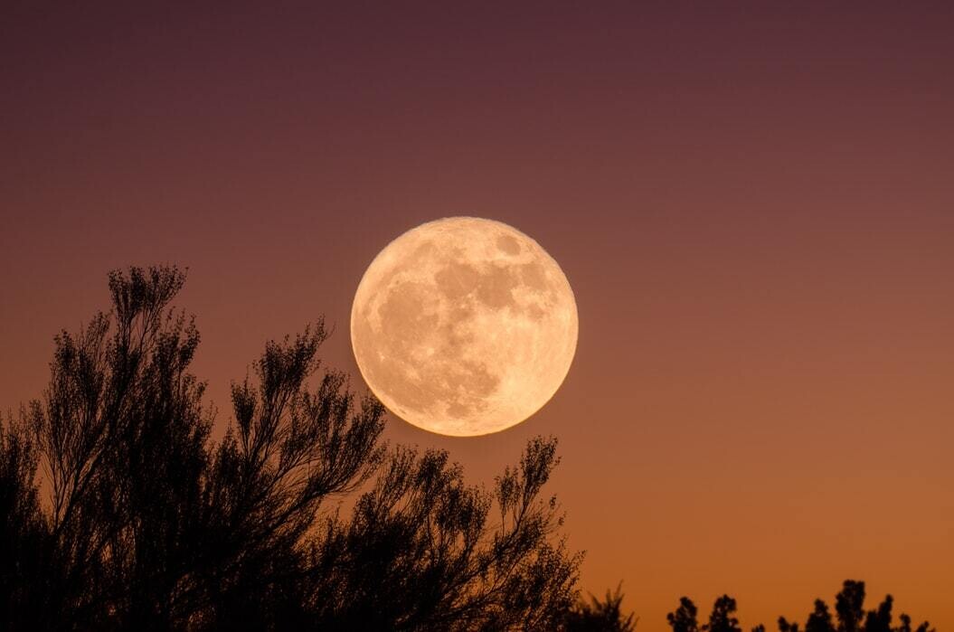 super luna de las flores