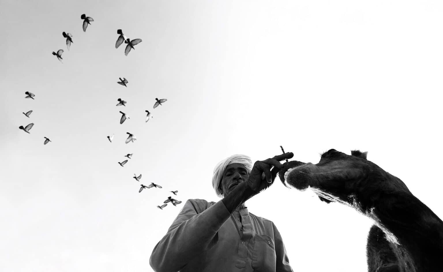 women street photographers reune a un centenar de fotografas callejeras para redefinir el genero 13