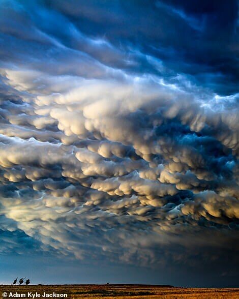 adam kyle jackson fotografia silvestre naturaleza tormenta 12