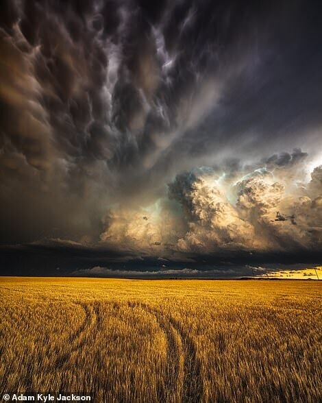 adam kyle jackson fotografia silvestre naturaleza tormenta 4
