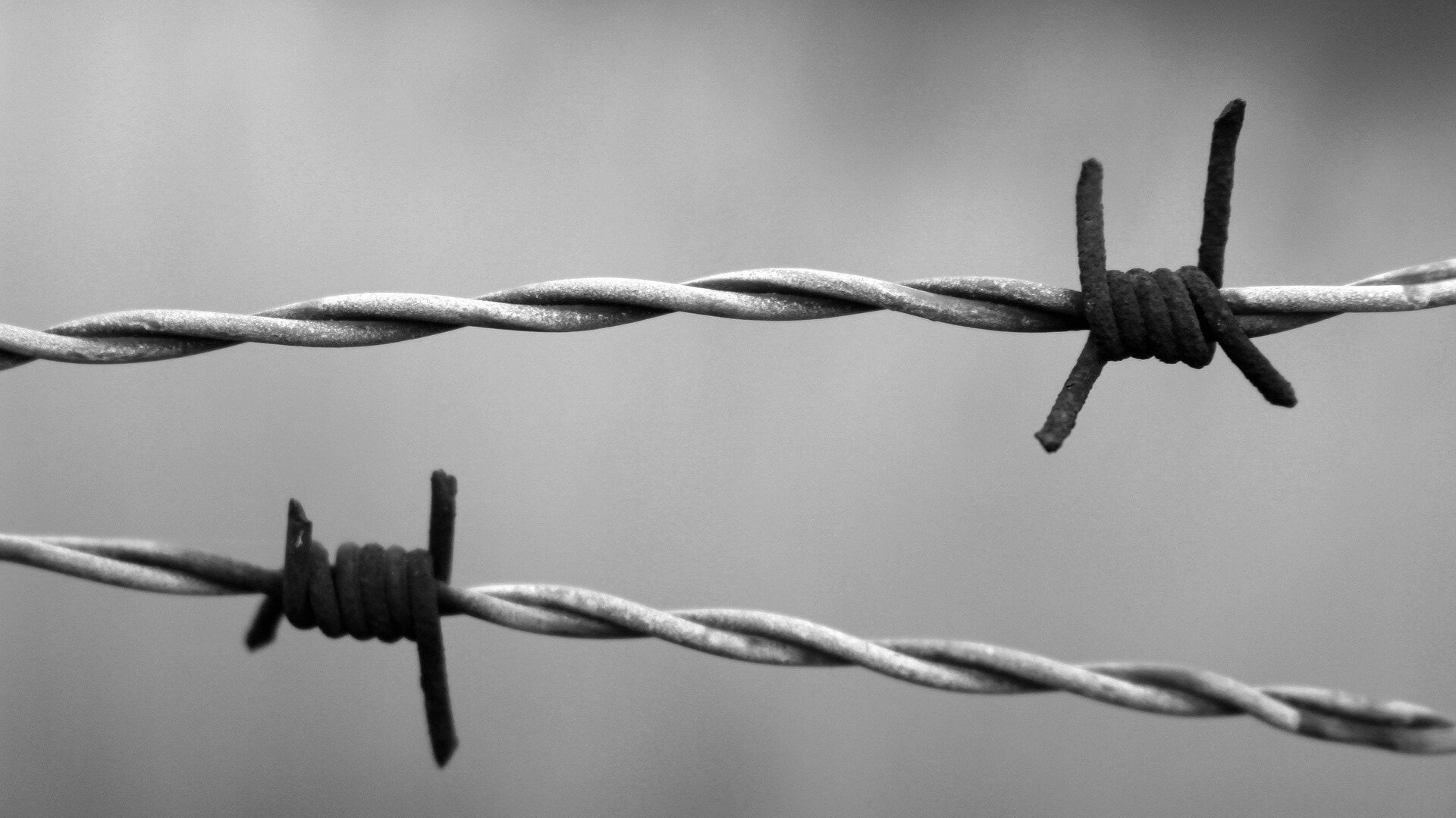 auschwitz carlotta silvestrini pixabay license