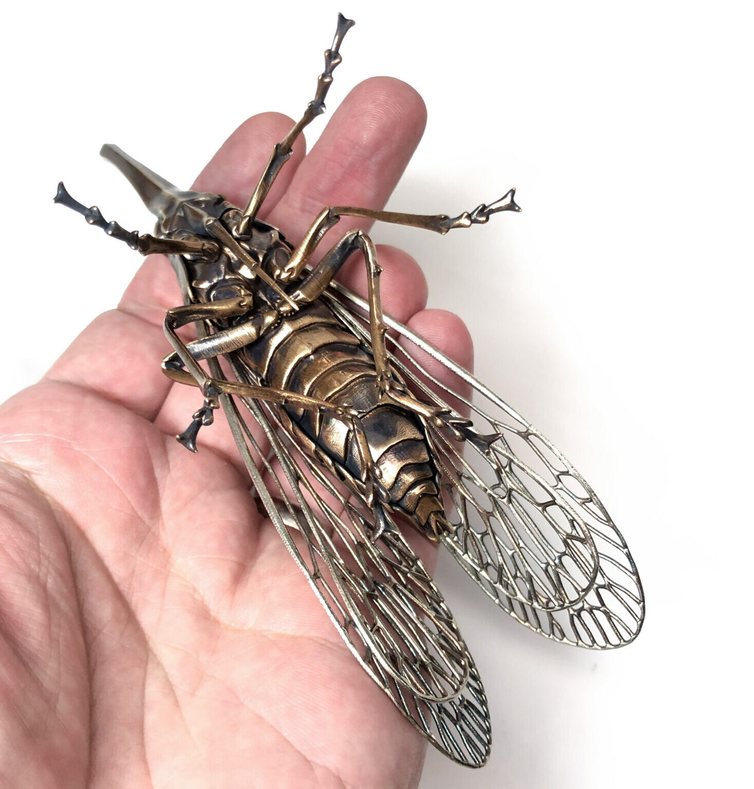 dr allan drummond artesania insecto naturaleza ciencia 1
