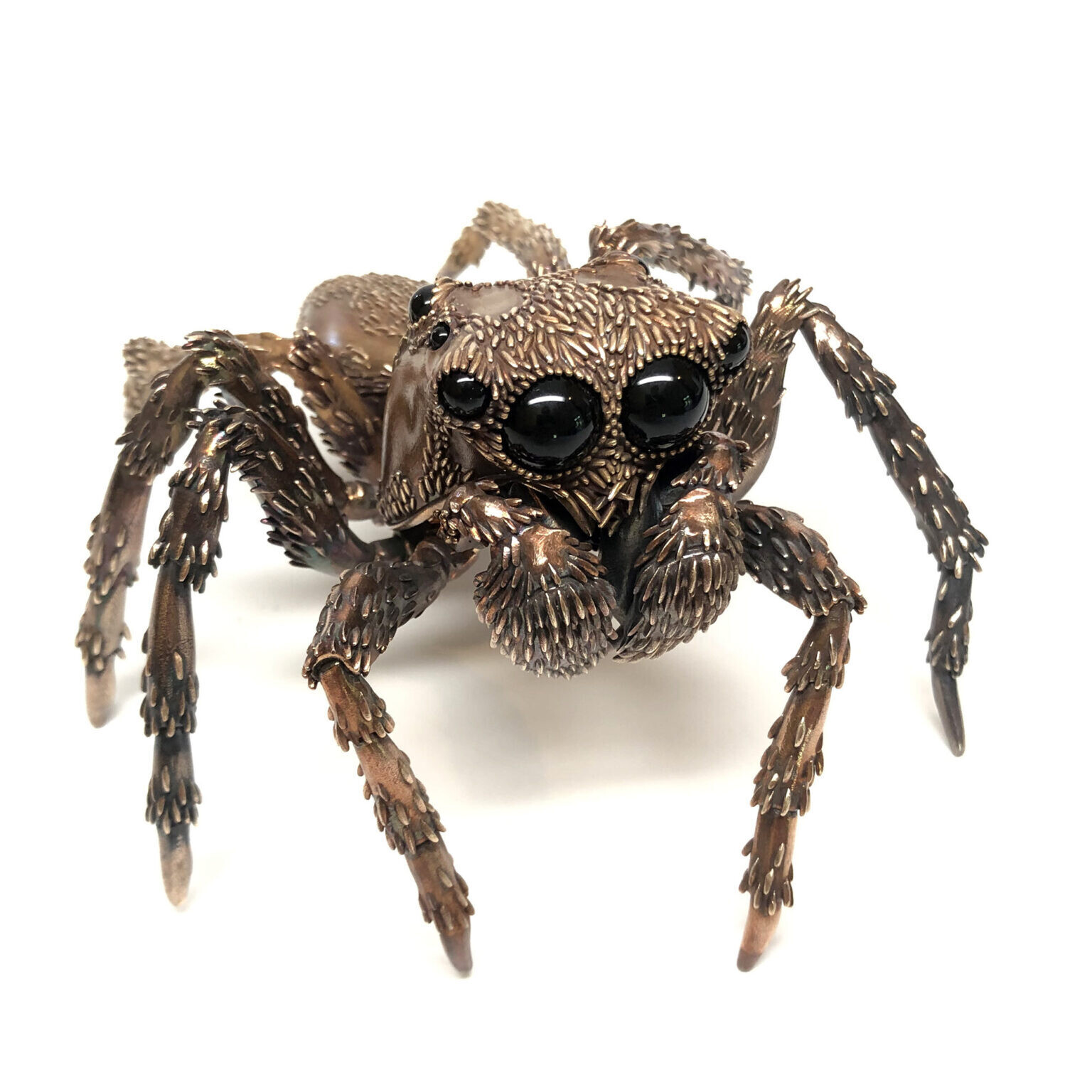 dr allan drummond artesania insecto naturaleza ciencia 2