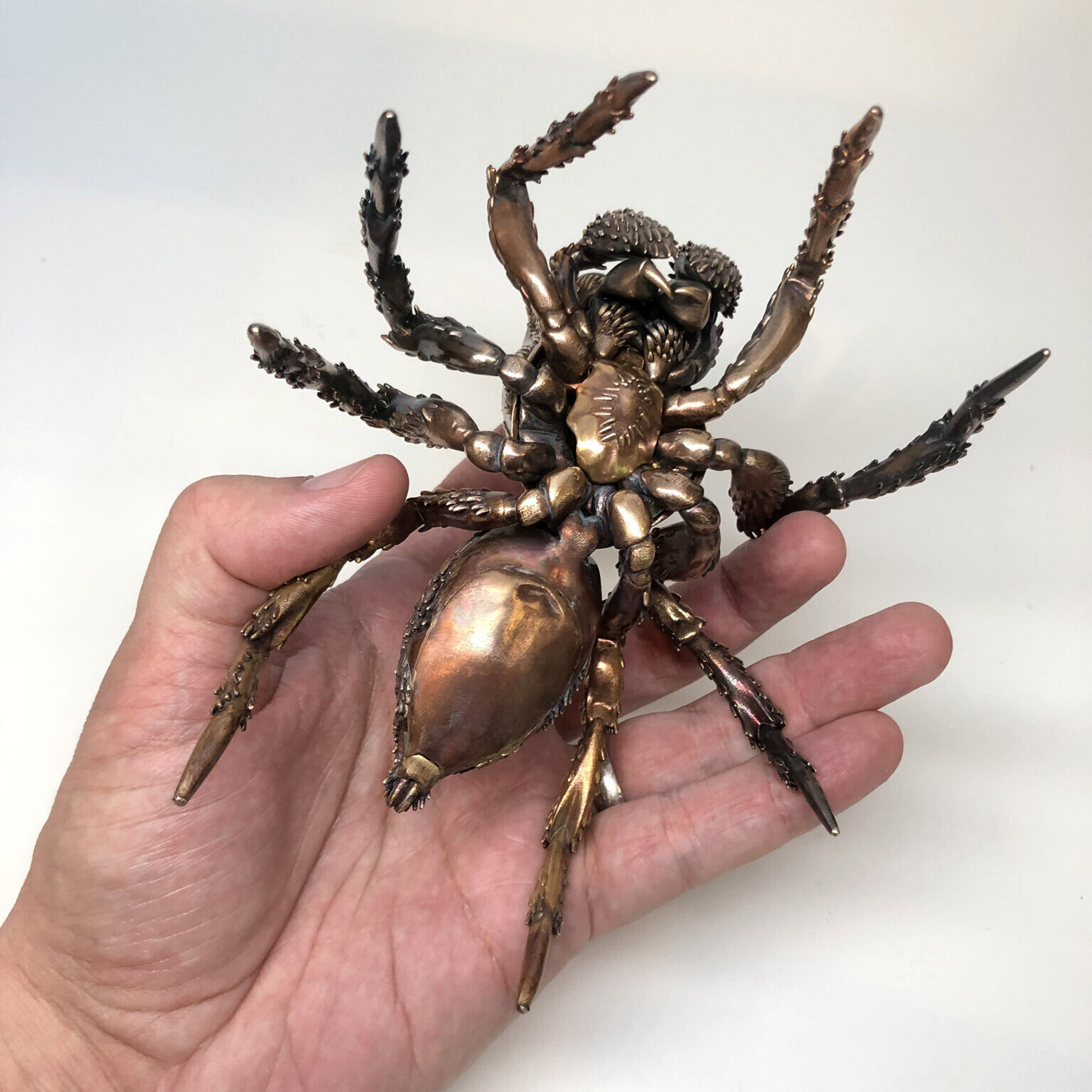 dr allan drummond artesania insecto naturaleza ciencia 3