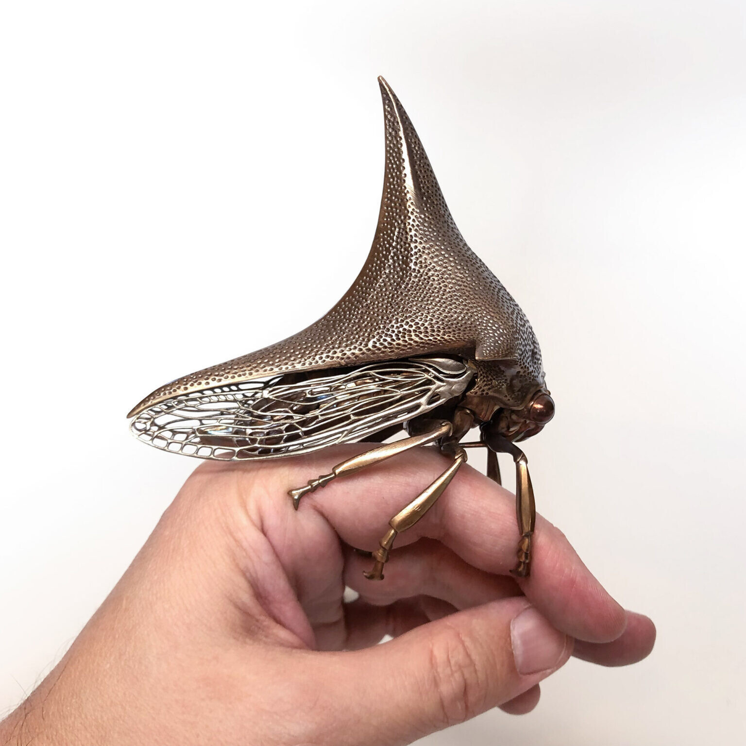 dr allan drummond artesania insecto naturaleza ciencia 4
