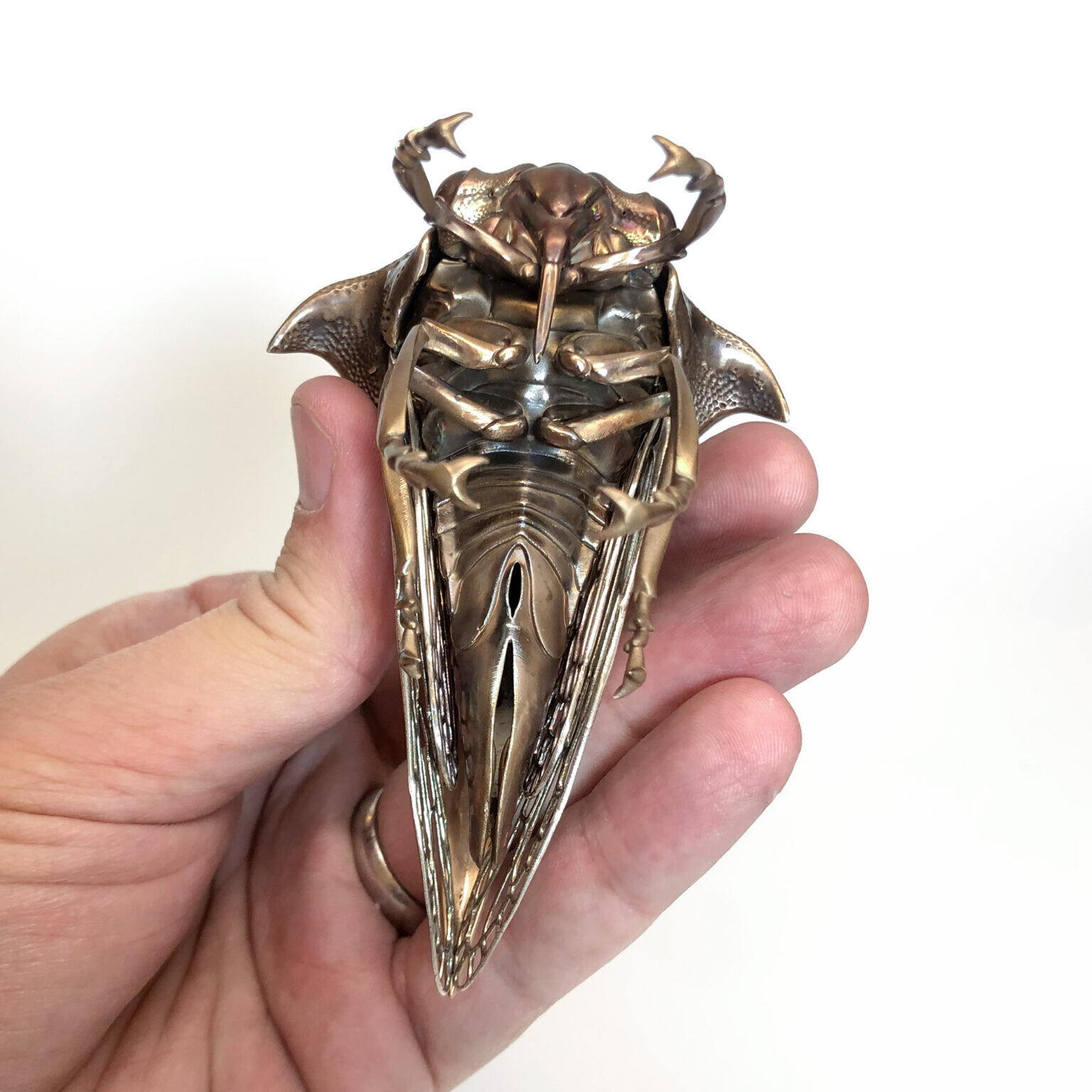 dr allan drummond artesania insecto naturaleza ciencia 6