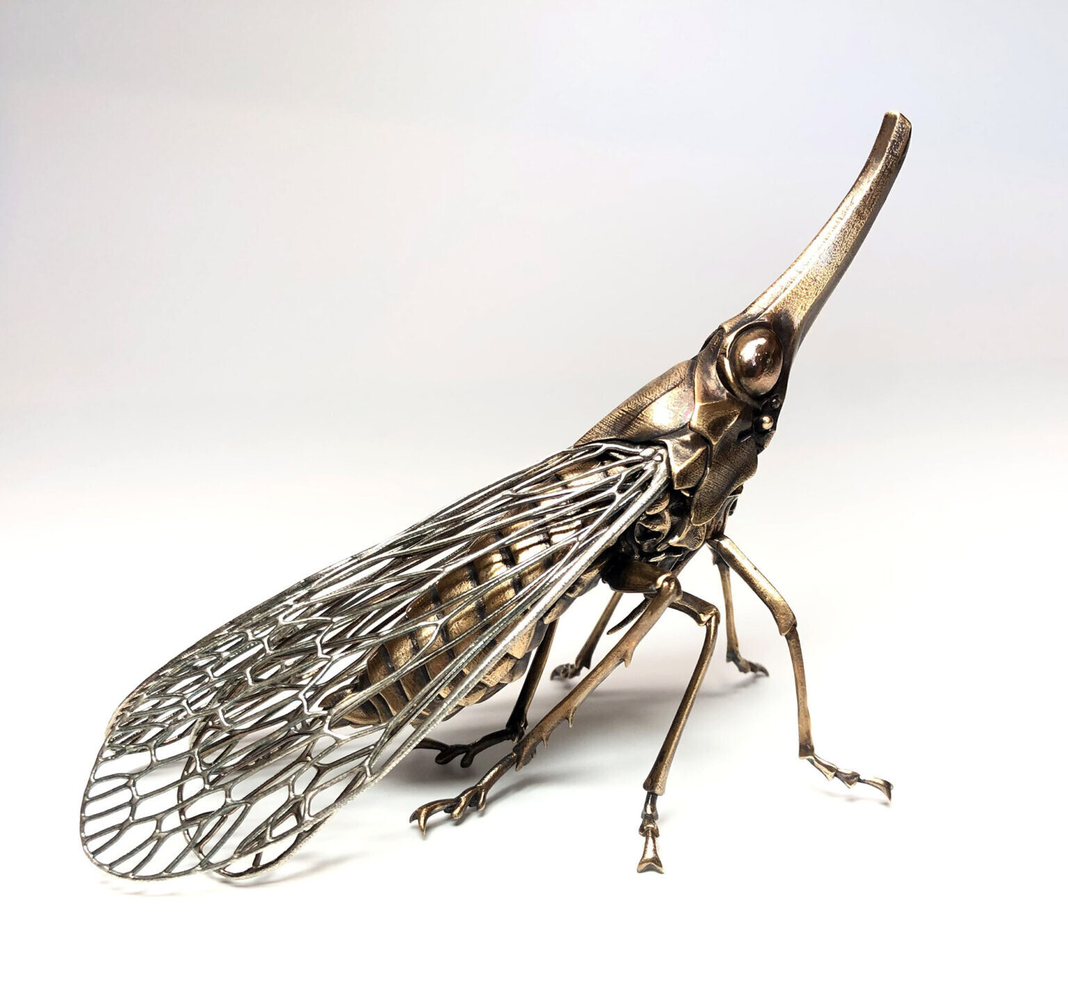 dr allan drummond artesania insecto naturaleza ciencia 7