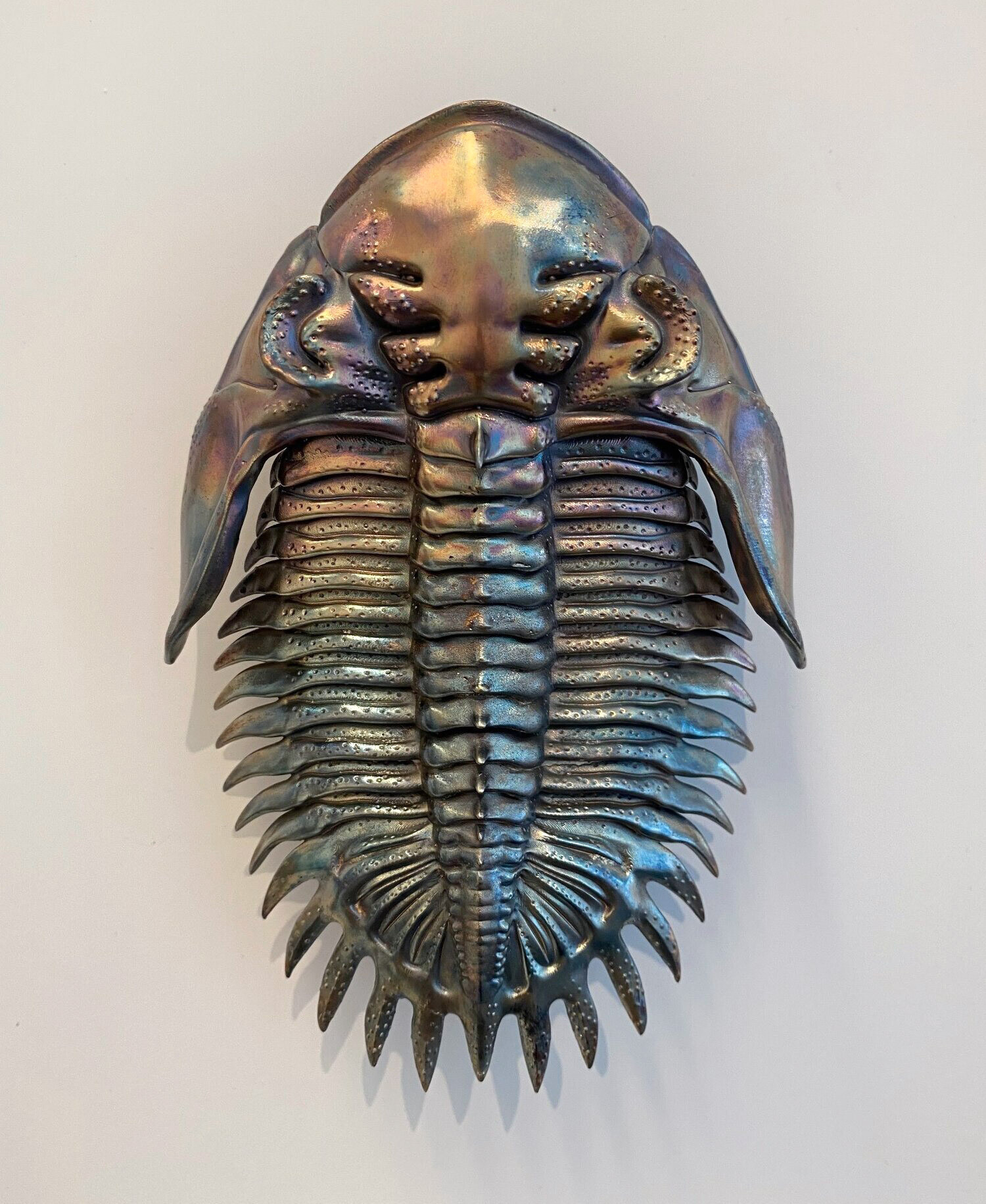 dr allan drummond artesania insecto naturaleza ciencia 8