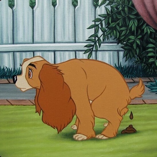 jose rodolfo loaiza ontiveros disney 07