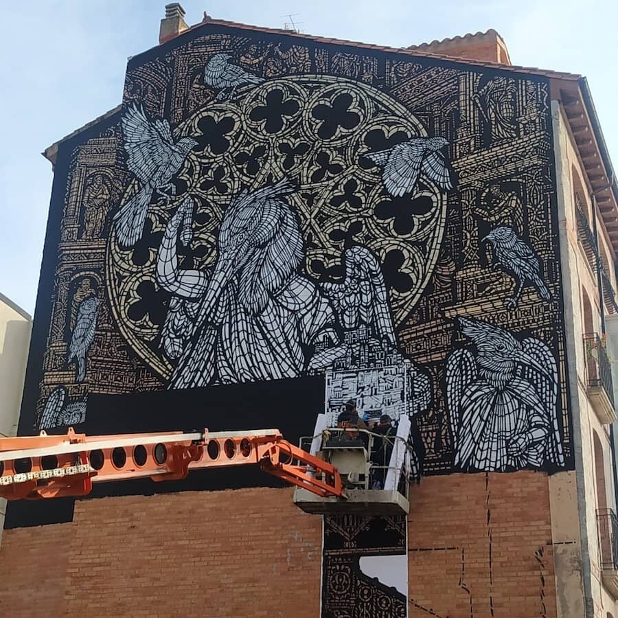 monkey bird arte urbano catedral de burgos 3