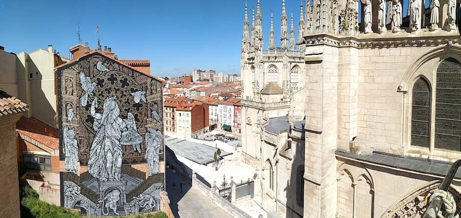 monkey bird arte urbano catedral de burgos 6