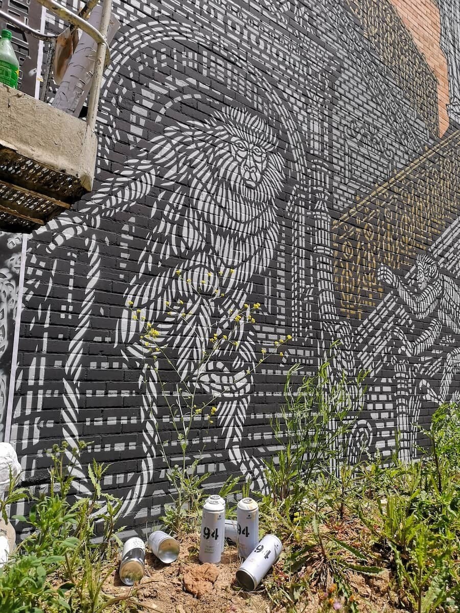 monkey bird arte urbano catedral de burgos 8