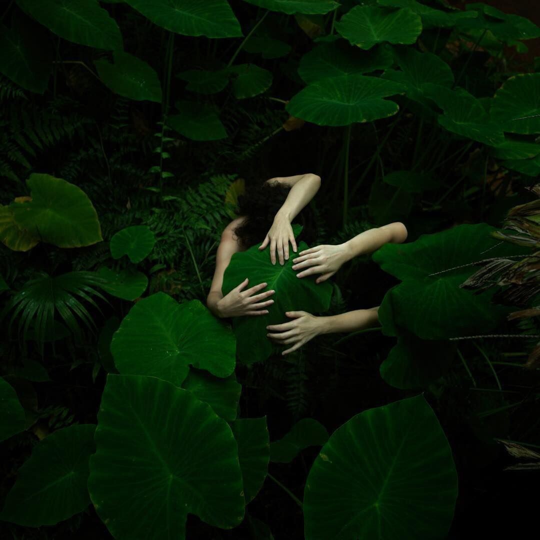 tamara dean fotografia naturaleza sociedad 4